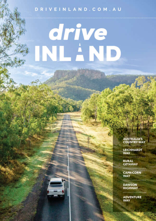 DRIVE INLAND PROMOTIONS INC